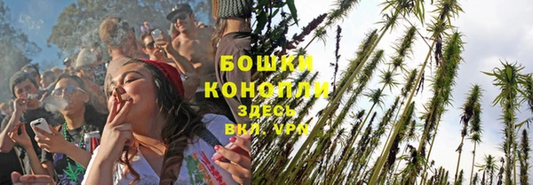 прущие крисы Каменногорск