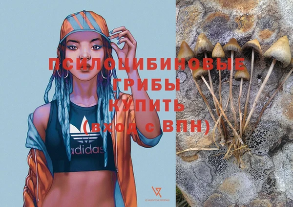 синтетический гашиш Каменск-Шахтинский