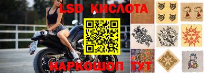 мяу мяу мука Жуковский