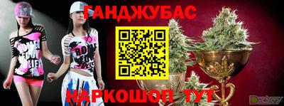 крисы Заводоуковск