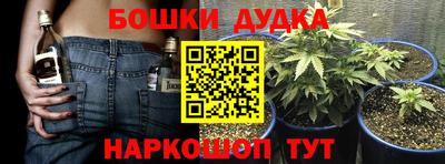 крисы Заводоуковск