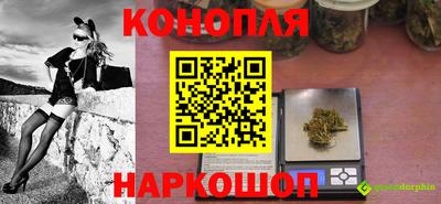 крисы Заводоуковск