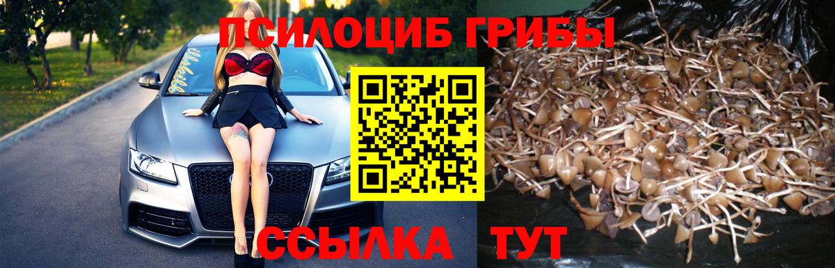 Комсомольск-на-Амуре  Галлюциногенные грибы прущие грибы  Вход с VPN 